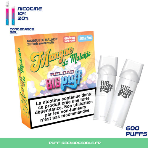 Big Puff  Pod rechargeable | Goût Pêche Givrée